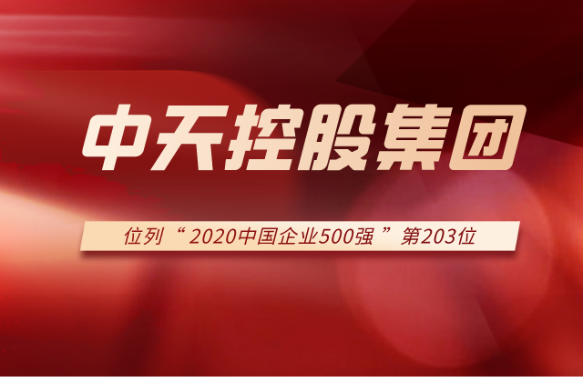 PG国际集团列2020中国企业500强第203位！